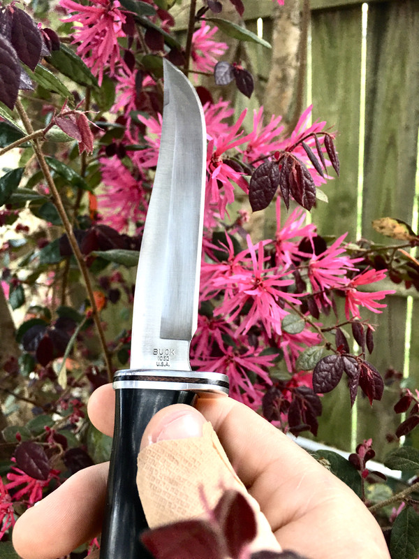 21E4F90E-265B-4D1D-A922-3AB44305FCDC