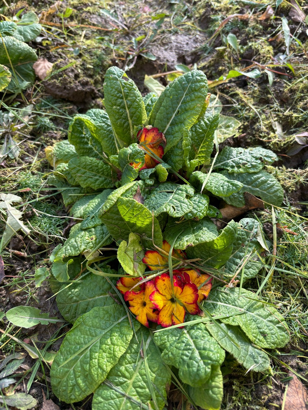 Qd Qg Vpg Ik JIPd7t Go Veso Pu QY3Sn Dt2s Jn VHZq5q U BCqs SYI k Xv IJWAsk SA4j IFt Dmiczn1xl PBt4ZG