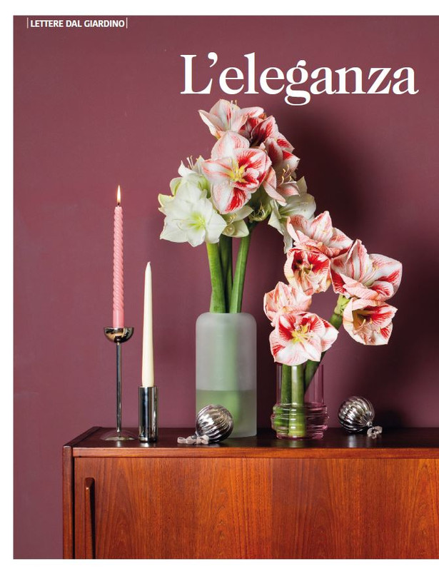 Home Dic 2025 Gen 2026 (5)