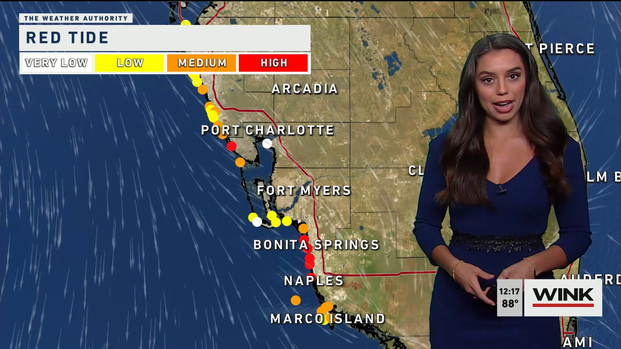 03.06 - 17.00.00 - The WINK Noon News  ᴺᵉʷ. Midday news update..ts_snapshot_24.17.667
