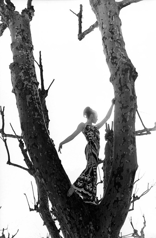 francoise_dorleac_zb10