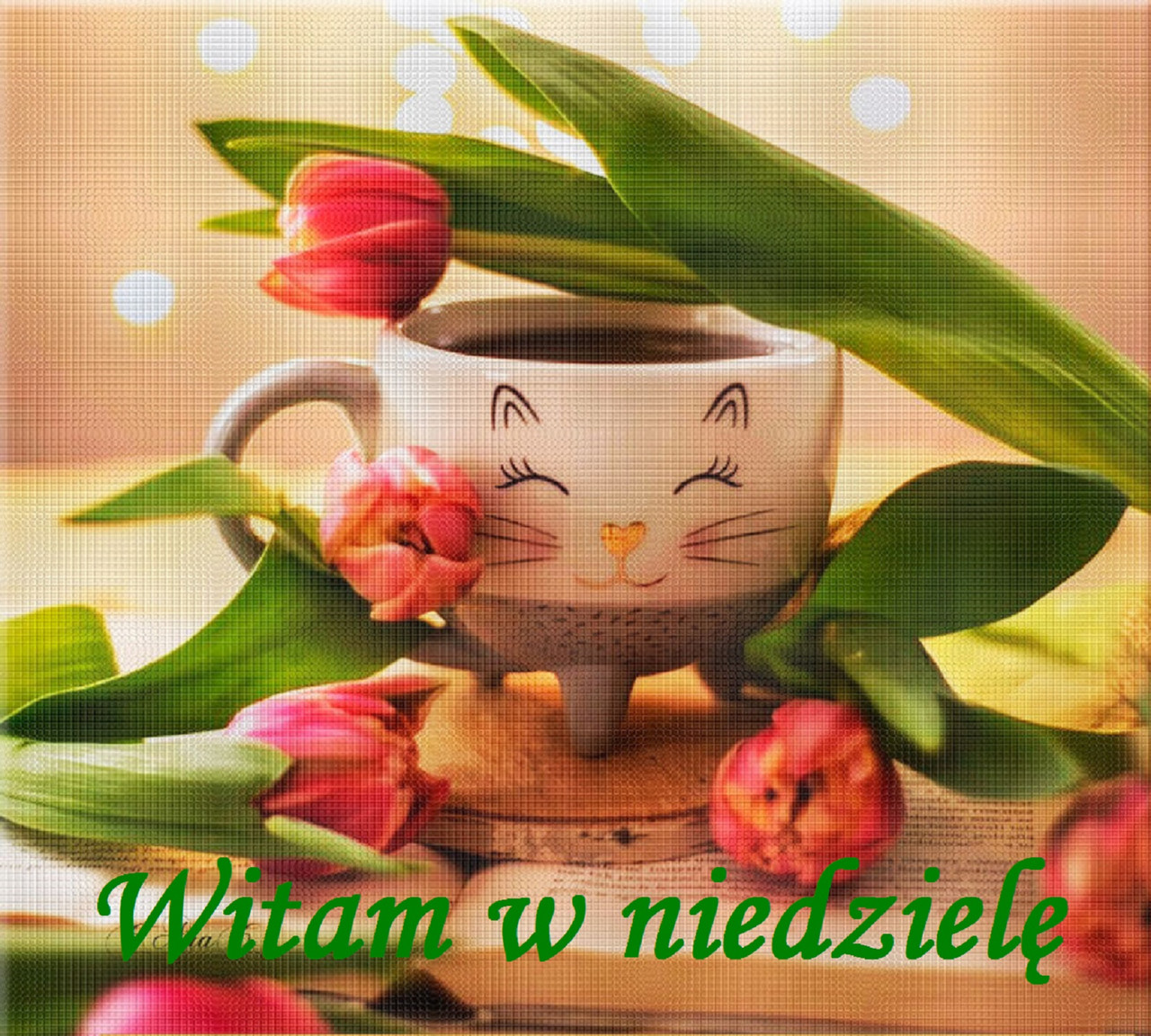 Witam-w-niedziele