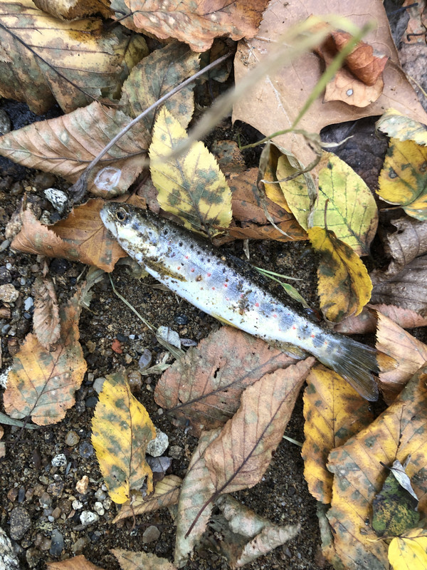 9D28C487-C08B-46E7-881A-4B955AC4241B