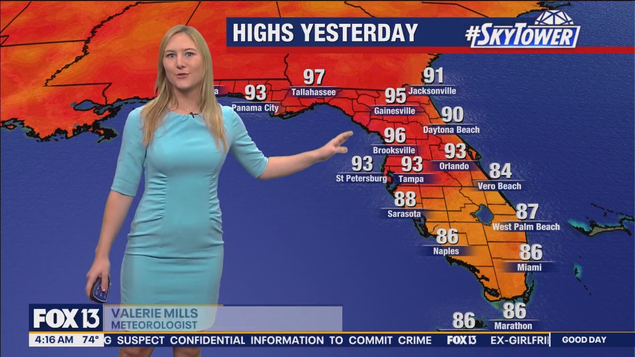 FOX13s Good Day Tampa Bay at 400am_20240614_09000930.ts_snapshot_16.58.278