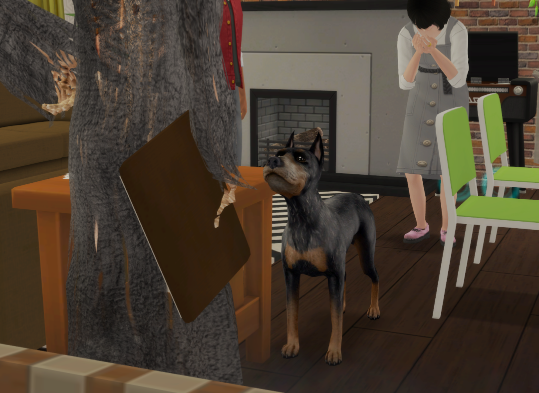 Sims2-EP9-RPC-2024-03-17-14-58-19-21