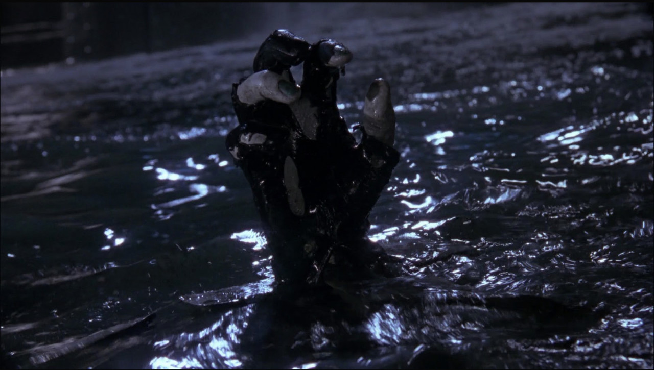 5-F94596-B-3-F16-4-BFE-9-A09-E4-B9-C7-CB