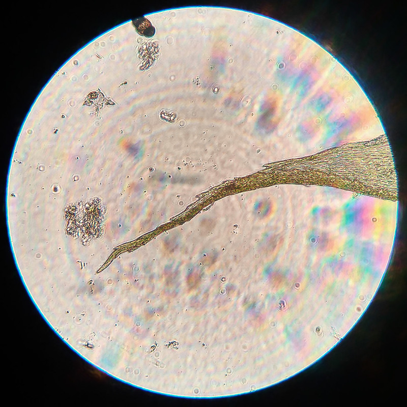 IMG 20250616 205629 HDR