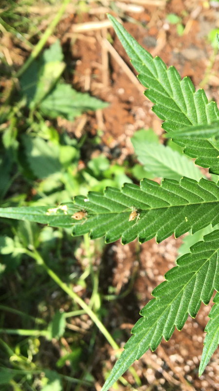 5DEDC6C6-B5D7-4912-8EA3-A6A88C2CBF97