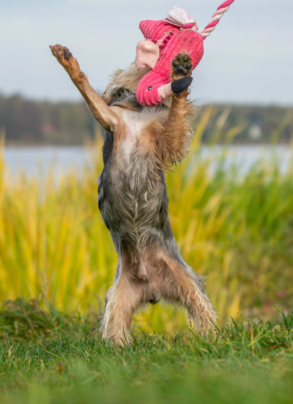 VCVtKSQp7NvJqZswzwuG6saG_i-UXJlHxBoK5_mgZt05XmSfHgn_rqzWDAbe6xaz-jy1D1p3aYa6o0dNSPkJfLqz