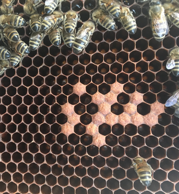 FD546F1A-6854-4416-BA23-07C5C4F96A20