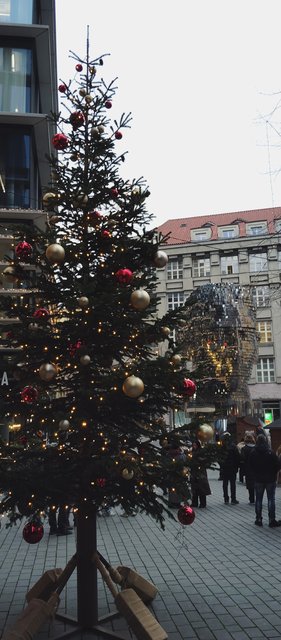 Viena - Bratislava - Praga, Navidad 2024 - Blogs de Europa Central - Reloj astronómico, Puente Carlos... Callejeando (60)