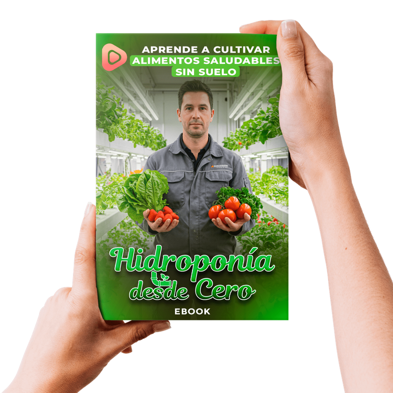 Cultivo hidropónico