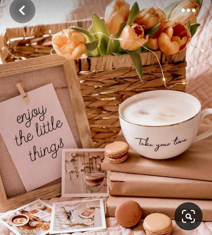 Screenshot_20230622_011437_Pinterest