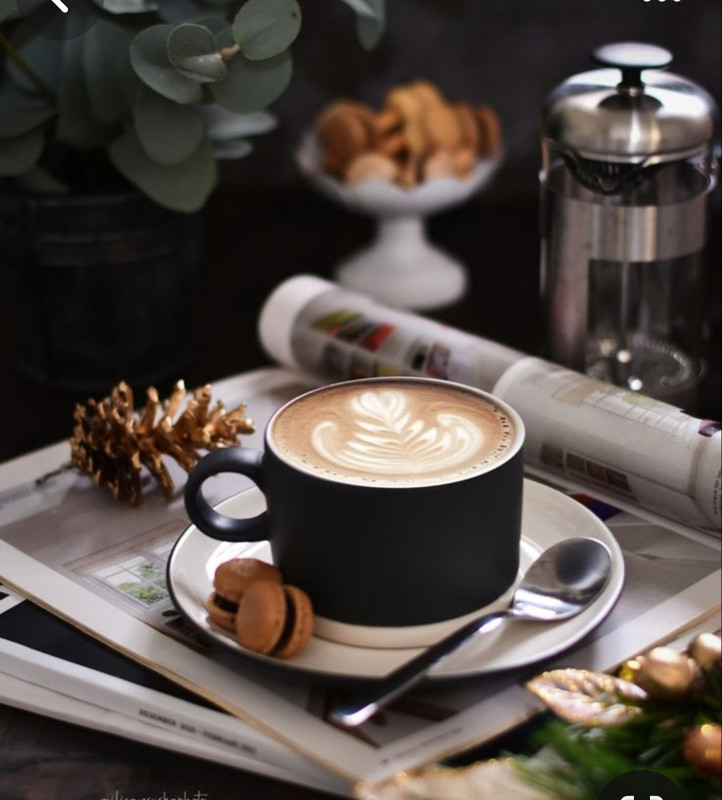 Screenshot_20230830_231351_Pinterest