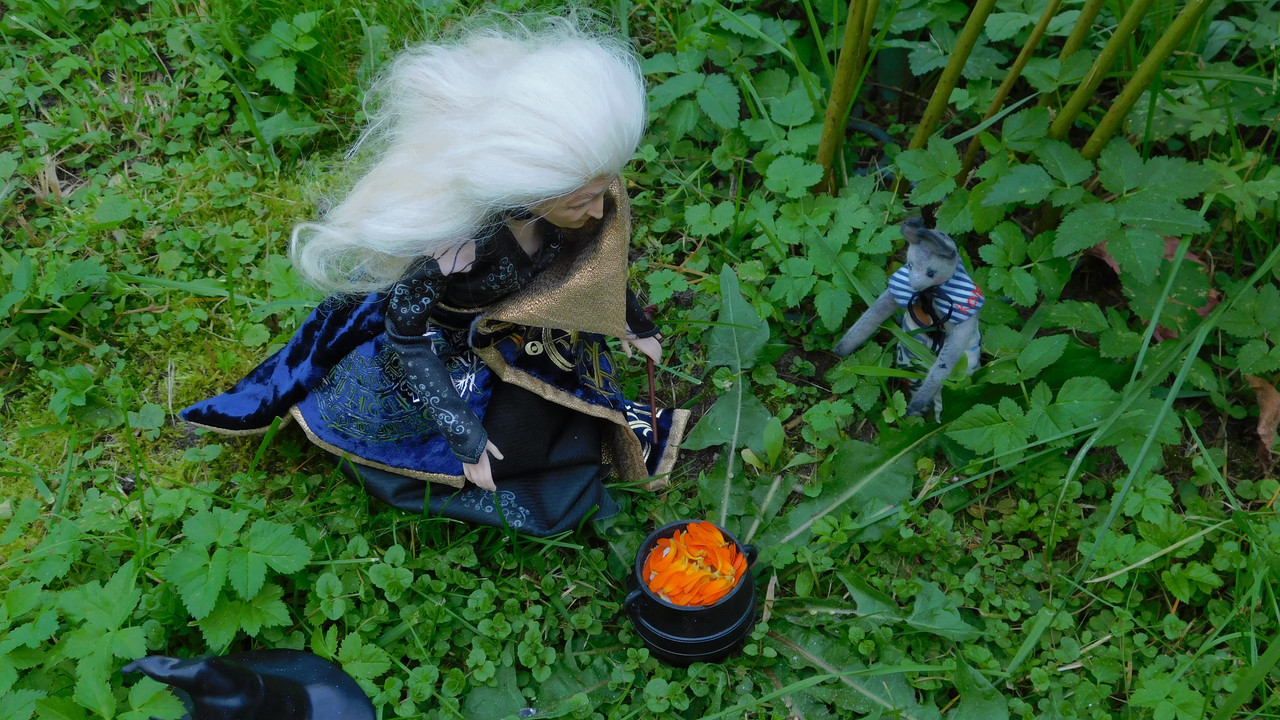 Дачное и  к Хелл сентябрь 2023 157