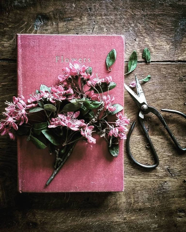 ���� ���� ������ �� ���� ������