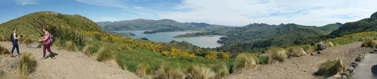 PANO_20181115_154959.vr