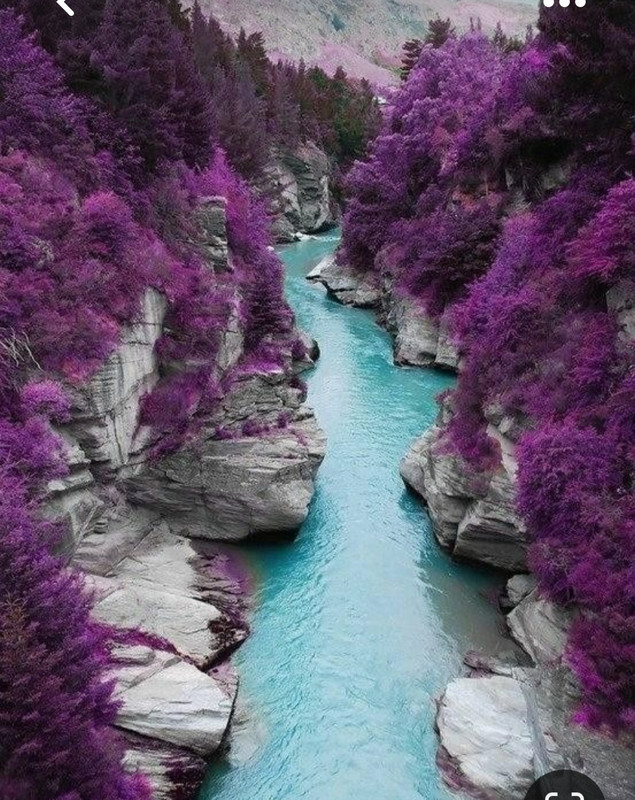 Screenshot_20230512_231949_Pinterest