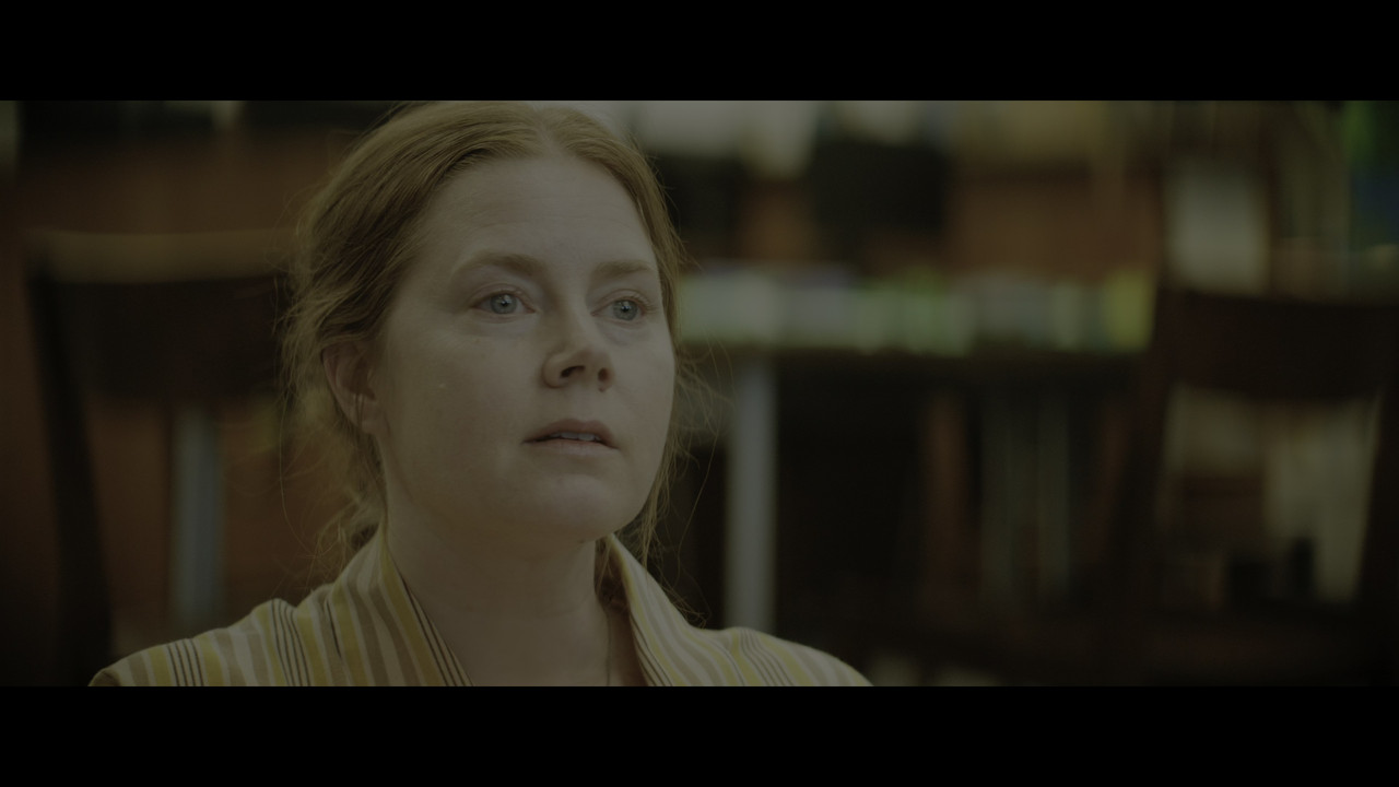 vlcsnap-2025-01-24-15h17m10s618