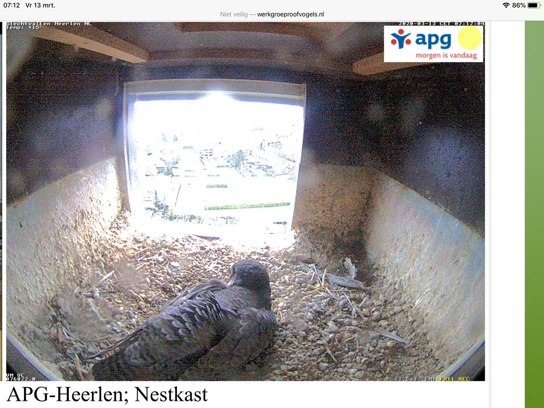 963AA147-7E71-43B9-8B1A-44D9A08C4DE3