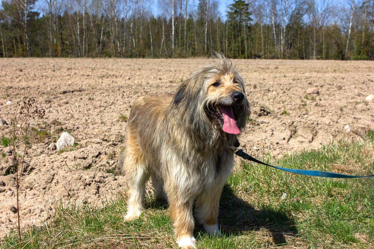 hnnYcYj-0k4lR8GSnqvGkZ1EHQDPtGxf_PDyCnIbmQzD-HvOSEPD3gMt7cJ6iaJeE9GRmir7BwyB4DYWflNeIGxP