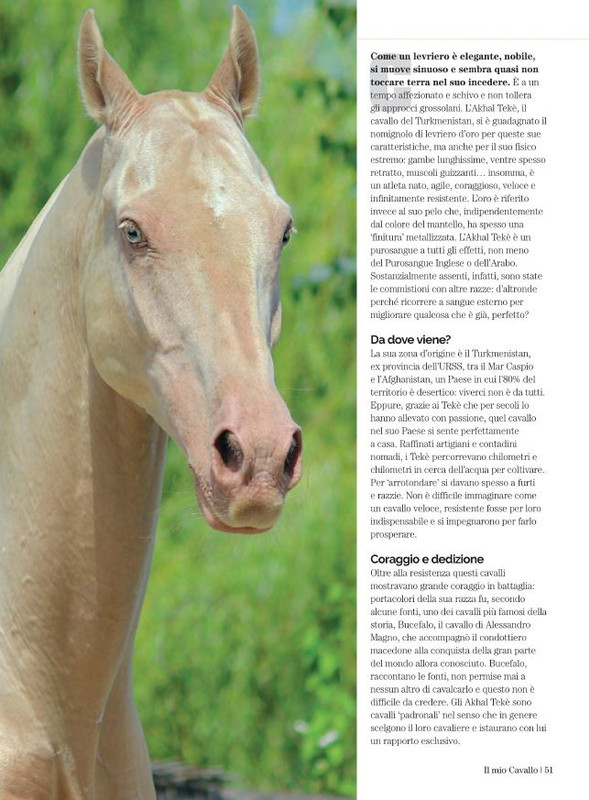 Il Mio Cav (Ott 2022) (6)