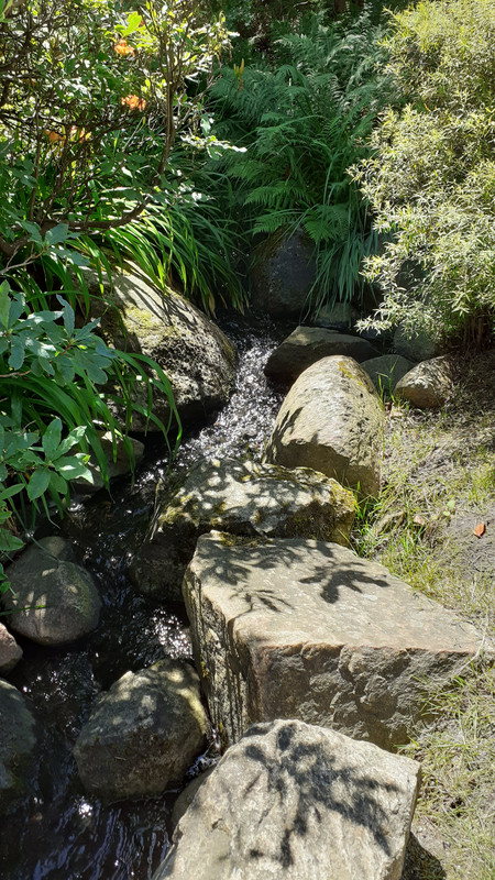 006 - 20200728_123319