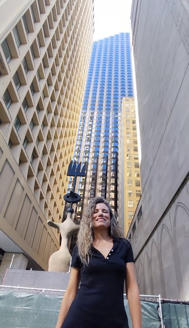 Caminando por Chicago: Esculturas, the Bean, lugares de películas y Torre Willis - Boston y Chicago (18)