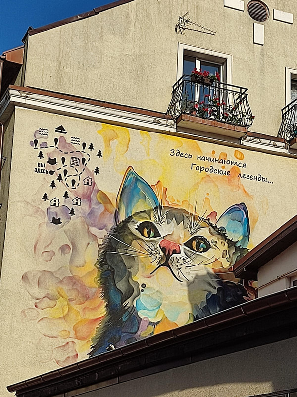 WhatsApp Image 2023-09-15 at 15.40.09