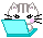 gif de uma gatinha usando o notebook