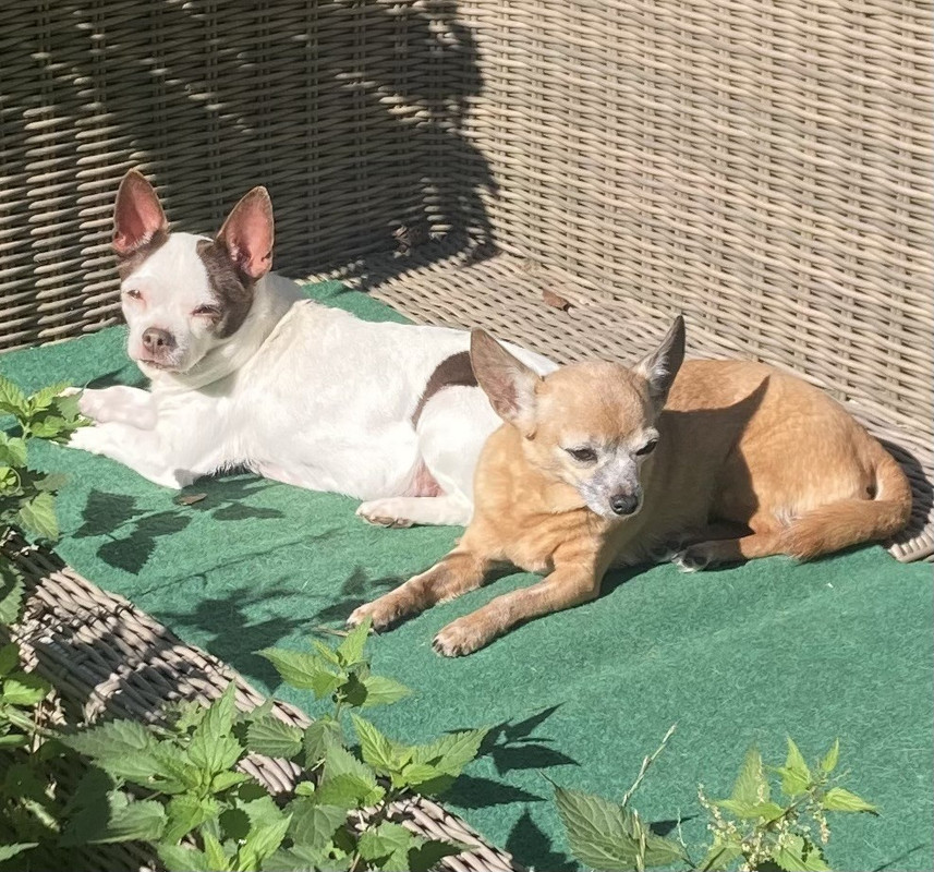 thumbnail_IMG_5614 3