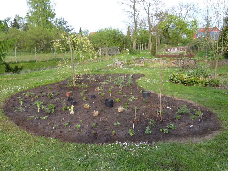 2014-04-20 Gräserbeet5