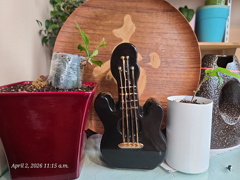 [Image: 20260402-111515.jpg]