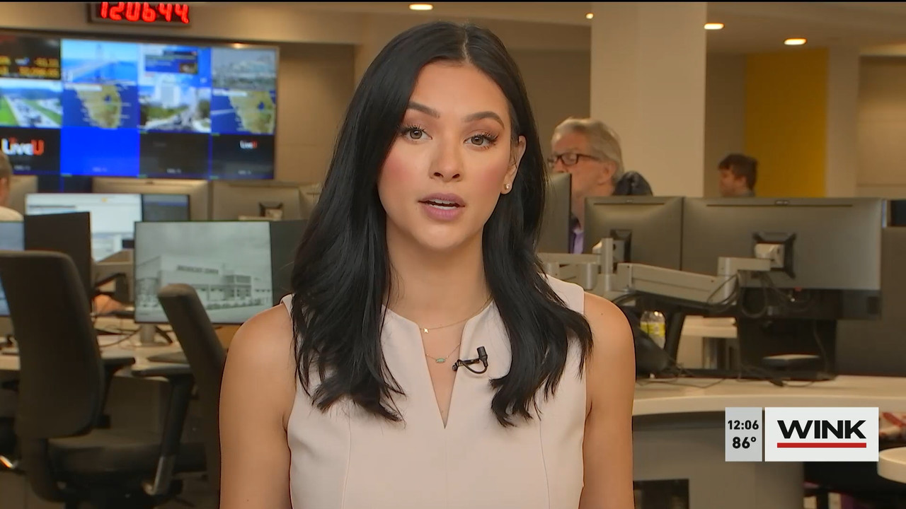 11.03 - 16.00.00 - The WINK Noon News  ᴺᵉʷ. Midday news update..ts_snapshot_13.08.882