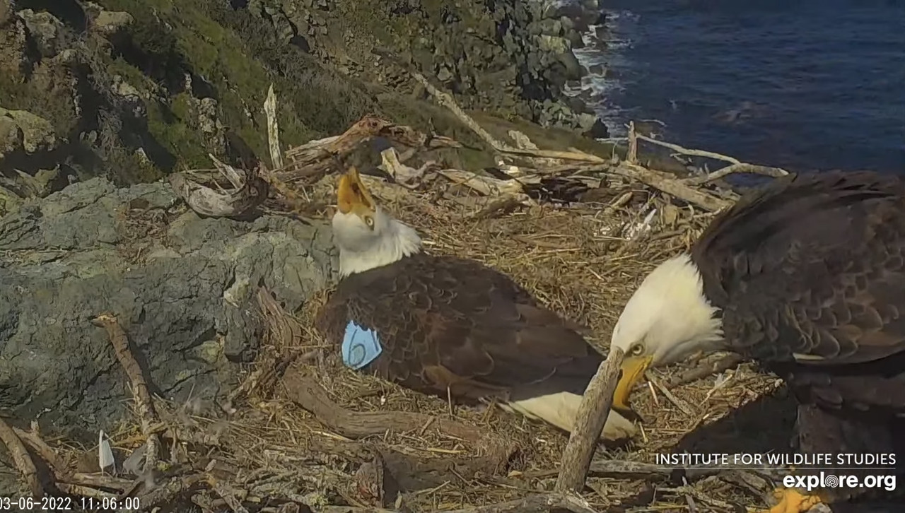 BFECC083-E29D-48FF-8DFB-920F026C98F5