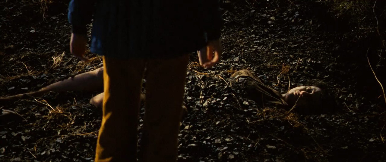 The Lovely Bones 2009 BluRay [Hindi + English] 480p, 720p ESub Screenshot