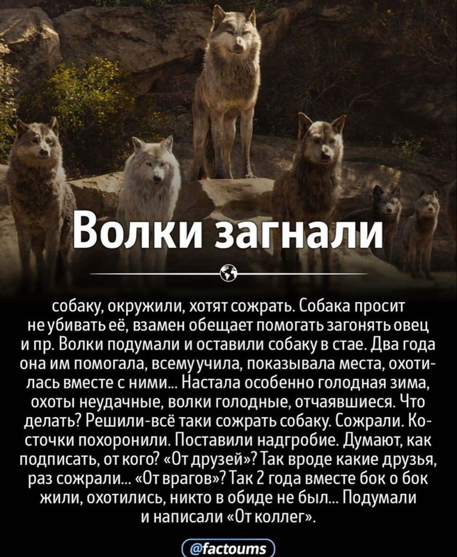 [Изображение: cc87dcab5d502cfc5f5fa8dd80688c4c.jpg]