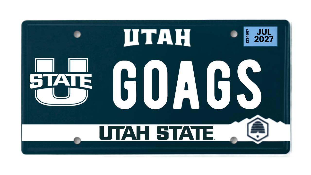 goags
