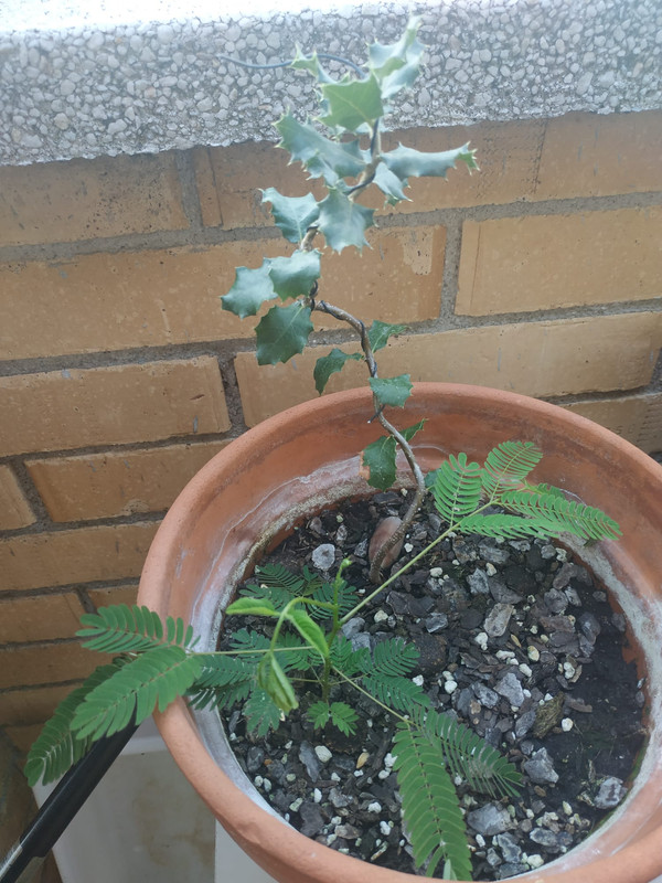 WhatsApp Image 2020-08-07 at 20.08.59 (1)