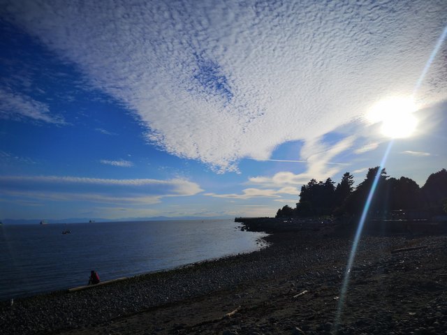 [Image: IMG-20210617-194403.jpg]