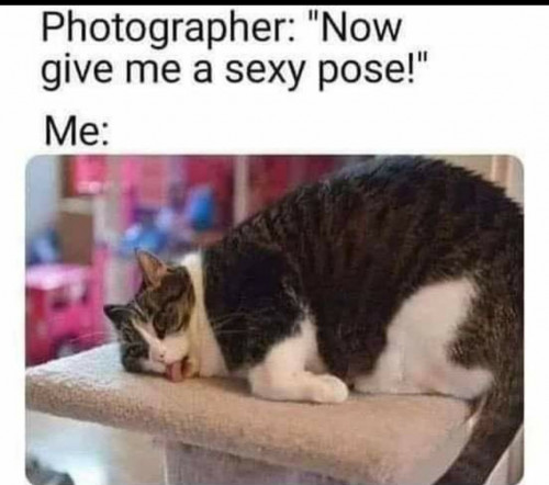 thumbs-picdump890-011.jpg