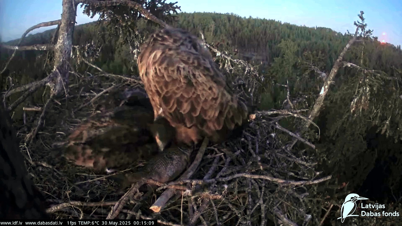 vlcsnap-2025-05-30-04h49m54s333