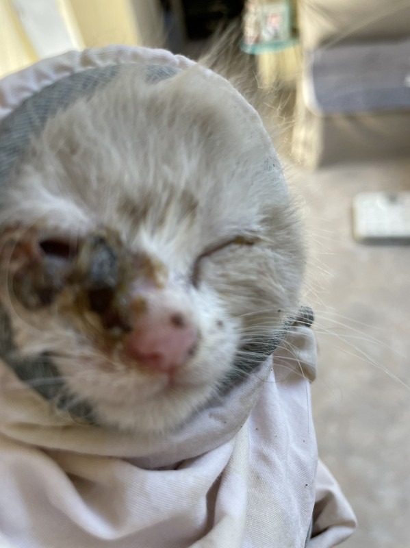 6BCA62C2-F734-4FA7-8935-54A718873F0B