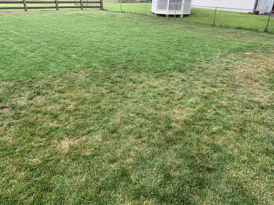 F79CFED4-B45C-4753-A8F4-F9ED08146DAE