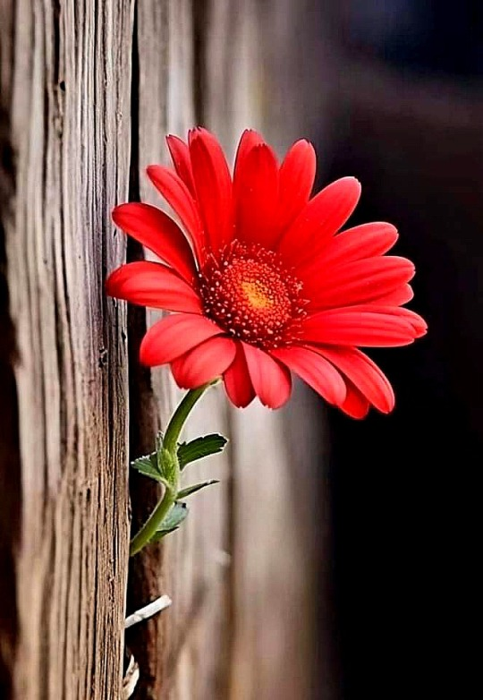 ep-w-EMSTQFUYCPv7Wh-L7OGHj-Tg-OZItxx-FLvl-Eb-K-y-Wj2PJsv5Ey-LWJOz8y7wqlc