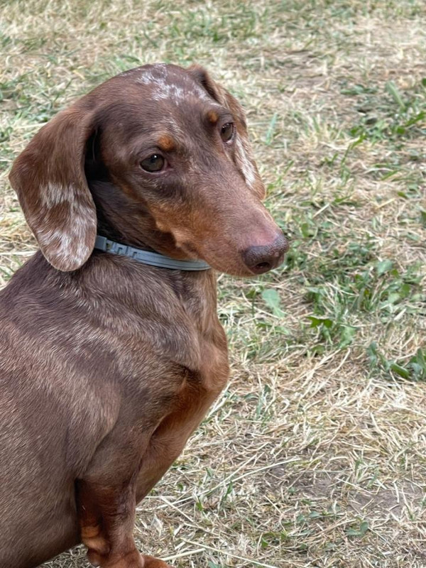 [Image: Resized-IMG-20230618-WA0096.jpg]