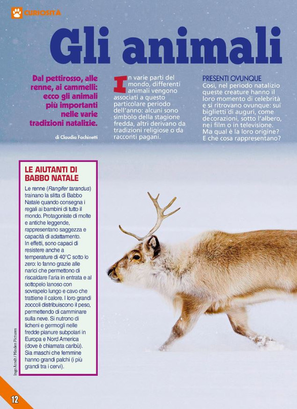 Foc Wil - Dic 2023 (1)