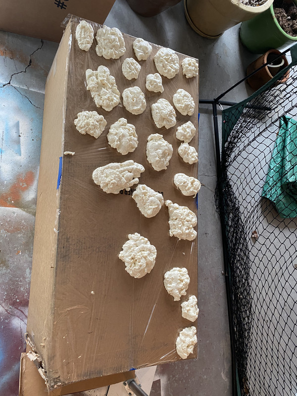 95174928-7919-4873-A5E1-E5E3FFDB4D12