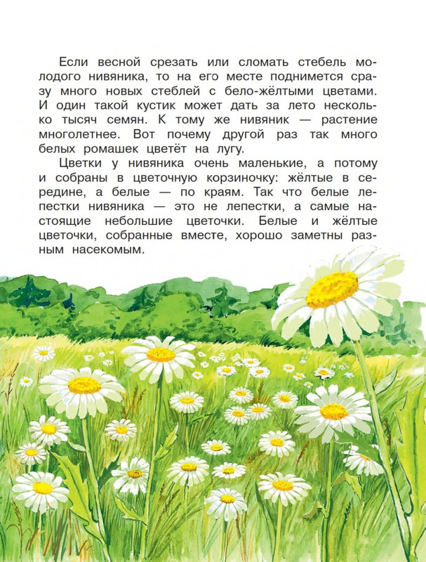 Onegov-Anatolij-Pochemu-kukushka-slozki-lot-page-0022