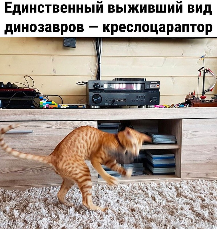 Q_3lF94ELhXR9ISqb-iH6MvMAAVhl_nEUWDV-P9WBoBWif-y0Ttz7SnnqsODGDIaZpu8DUe3Cpy6xlhV_-zTNWLq